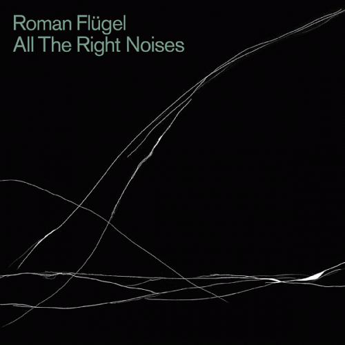 Roman Flügel : All the Right Noises
